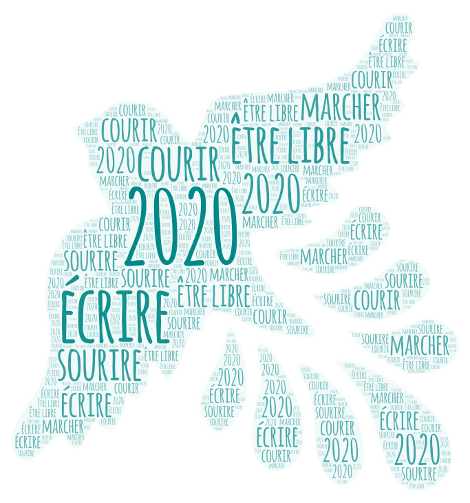 You are currently viewing Bilan 2019 et projets 2020
